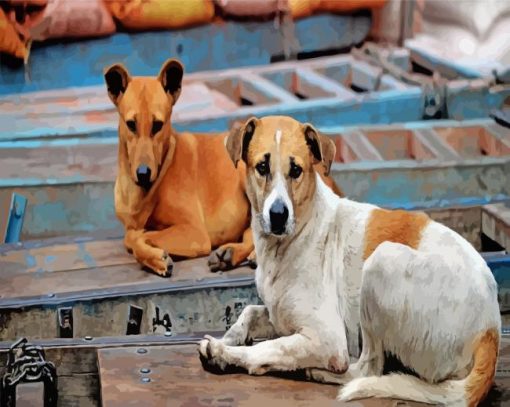 Street Dog Animal paint by numbers