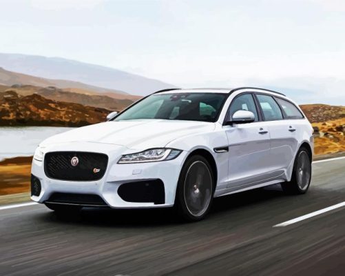 Cool White Jaguar Car paint byb numbers