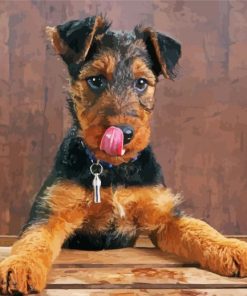 Adorable Airedale Terrier paint by numbers