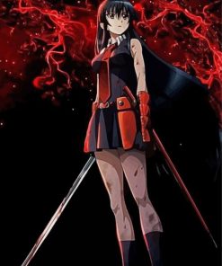 Akame Anime Girl paint by numbers