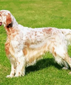 Adorable English Setter paint by numbers