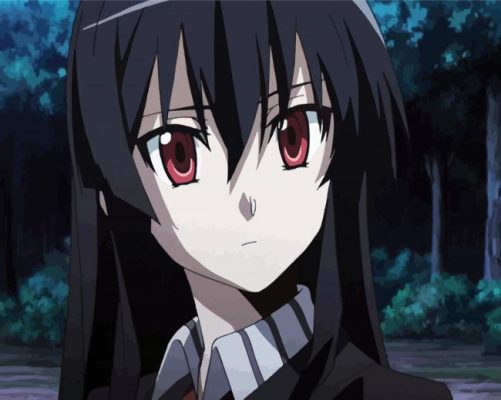 Pretty Girl Akame paint by numbers
