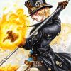 Sabo Anime Character paint by numbers