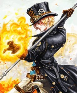 Sabo Anime Character paint by numbers