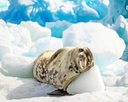 Seal Animal In Antarctica paint by numbers