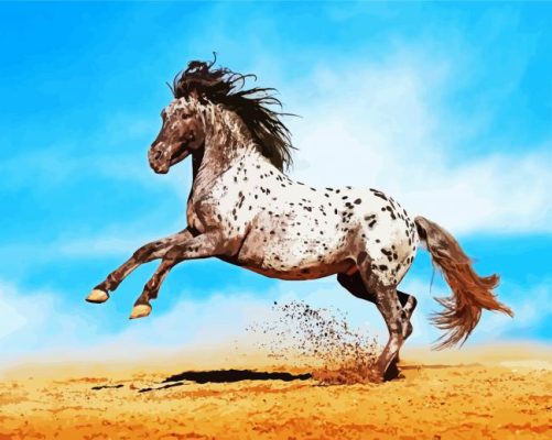 Fantastic Appaloosa Horse paint by numbers