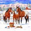 Appaloosa Horses Family paint by numbers