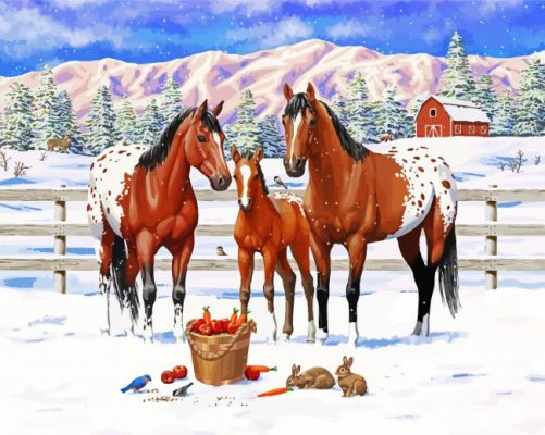 Appaloosa Horses Family paint by numbers