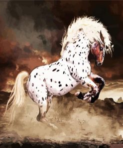 Appaloosa Horse Art paint by numbers