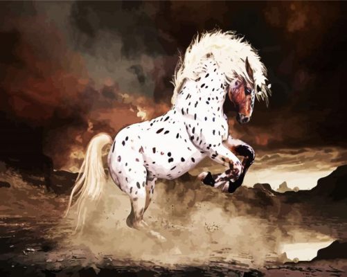 Appaloosa Horse Art paint by numbers