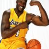 Shaquille Rashaun O'Neal paint by numbers