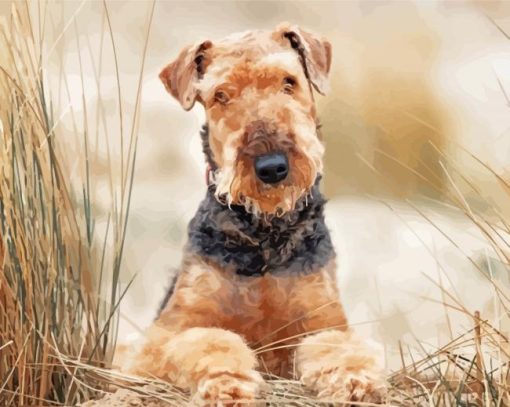 Adorable Airedale Terrier paint by numbers