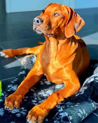 Brown Ridgeback paint by numbbers