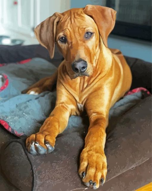 Brown Ridgeback Puppy paint by numbers