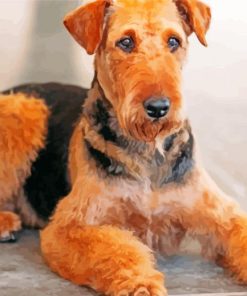 Aesthetic Airedale Terrier paint by numbers