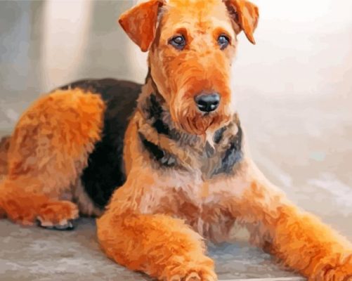 Aesthetic Airedale Terrier paint by numbers