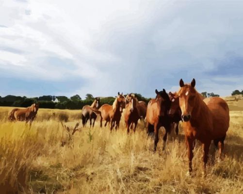 Brown Brumby Flock paint by numbers
