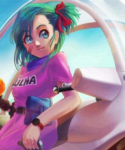 Bulma Anime Girl paint by Numbers