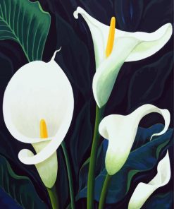 White Calla Lilies paint by numbers