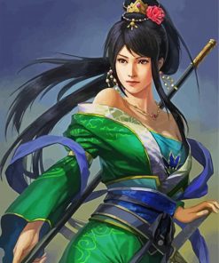 Chinese Warrior Lady paint by numbers