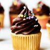 Sweet Chocolate Cupcakes paint by numbers