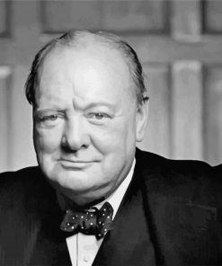 Monochrome Of Winston Churchill paint by numbers