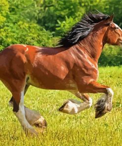 Clydesdale Horse Running paint byb numbers