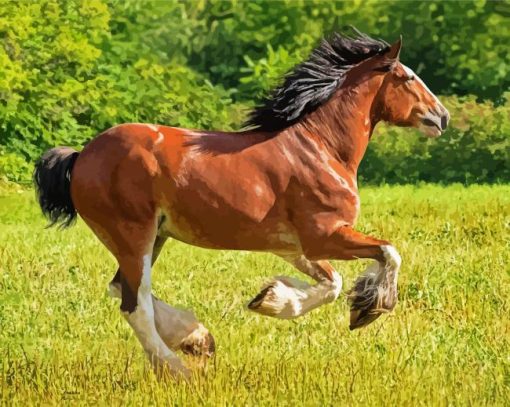 Clydesdale Horse Running paint byb numbers