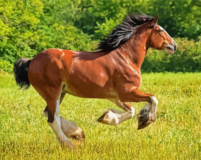 Clydesdale Horse Running paint byb numbers