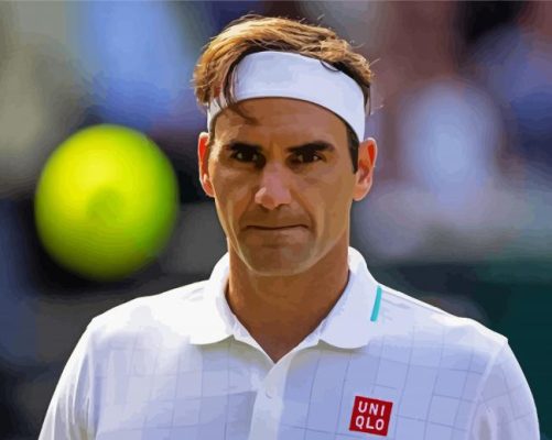 Cool Roger Federer paint by numbers