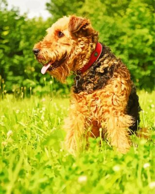 Adorable Airedale Terrier Dog paint by numbers