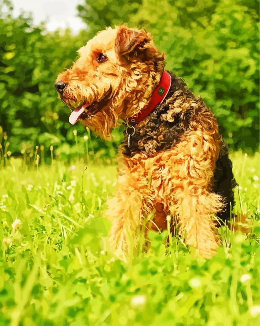 Adorable Airedale Terrier Dog paint by numbers