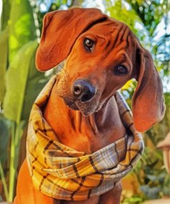 Cute Ridgeback paint by numbers