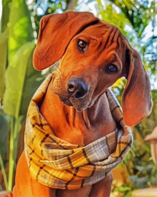 Cute Ridgeback paint by numbers