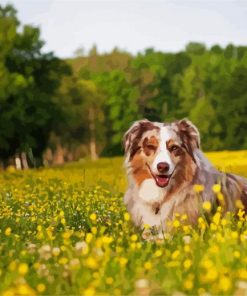 Cute Dog In Field Of Flowers paint by numbers