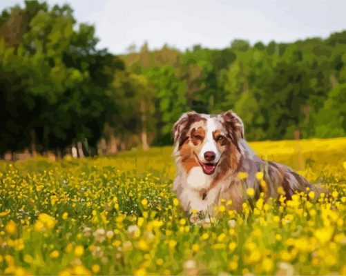 Cute Dog In Field Of Flowers paint by numbers