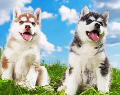 Adorable Huskies Puppies paint by numbers