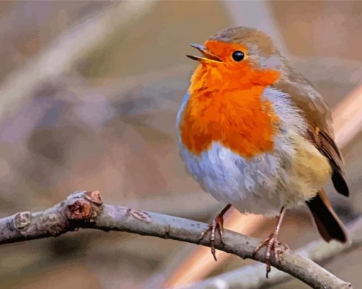 Cute Robin Bird paint by numbers