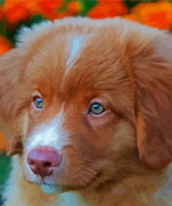 Adorable Toller Puppy paint by numbers