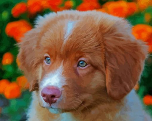 Adorable Toller Puppy paint by numbers