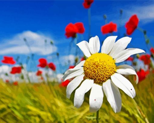 Beautiful Daisy Flower paint by numbers