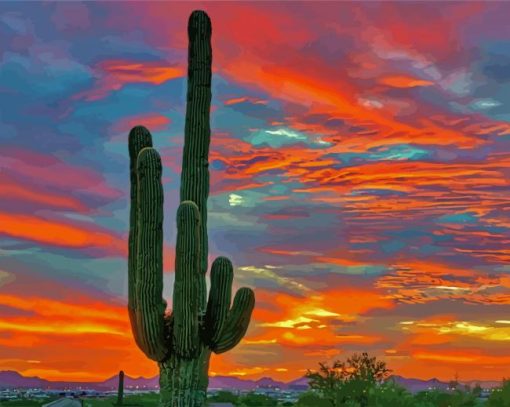 Desert Cactus At Sunset paint by numbers