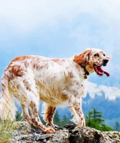 English Setter Dog Breed paint by numbers