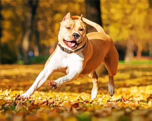 Golden American Staffordshire Terrier paint by numbers