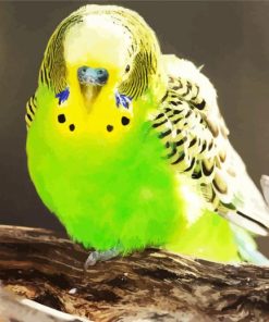 Cute Green Budgerigar paint by numbers