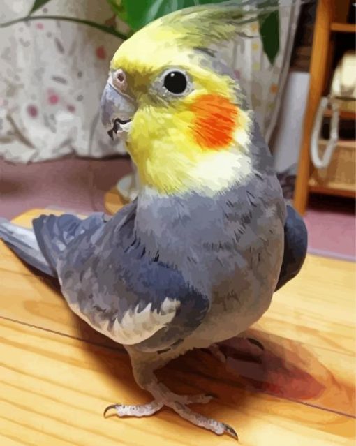 Grey Cockatiel Bird paint by numbers