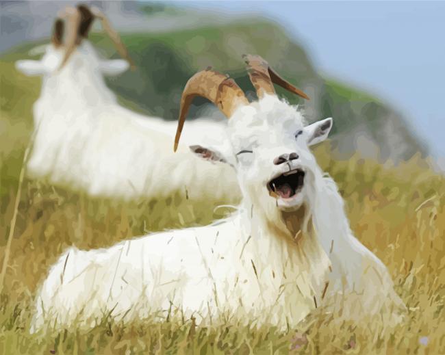 Happy Capra Animal paint by numbers