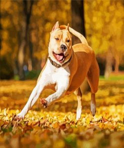 American Staffordshire On Leaves paint by numbers