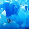 Ice Mountains In Antarctica paint byh numbers