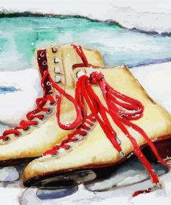 Ice Skate Art paint by numbers